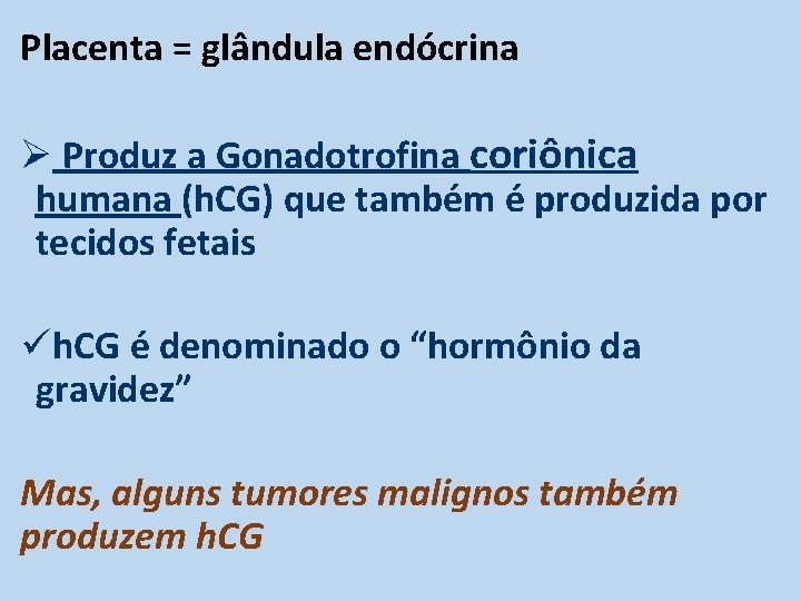 Placenta = glândula endócrina Ø Produz a Gonadotrofina coriônica humana (h. CG) que também