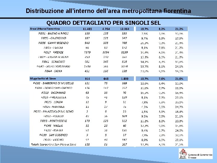 Distribuzione all’interno dell’area metropolitana fiorentina QUADRO DETTAGLIATO PER SINGOLI SEL 