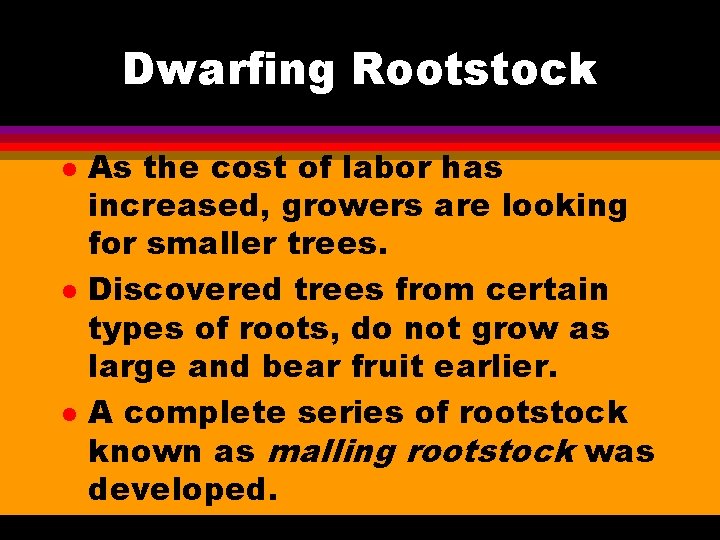 Dwarfing Rootstock l l l As the cost of labor has increased, growers are