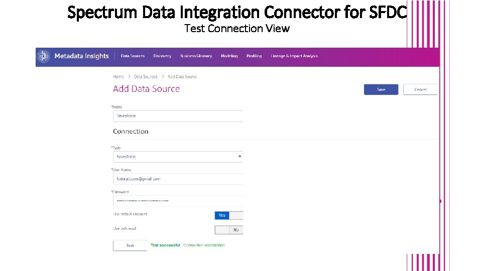Spectrum Data Integration Connector for SFDC Test Connection View Spectrum Data Integration Connector for SFDC Test Connection View