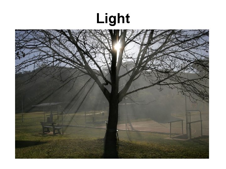 Light 