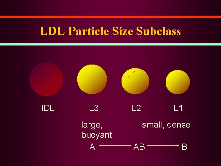 LDL Particle Size Subclass IDL L 3 large, buoyant A L 2 L 1