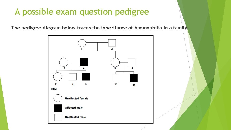 A possible exam question pedigree The pedigree diagram below traces the inheritance of haemophilia