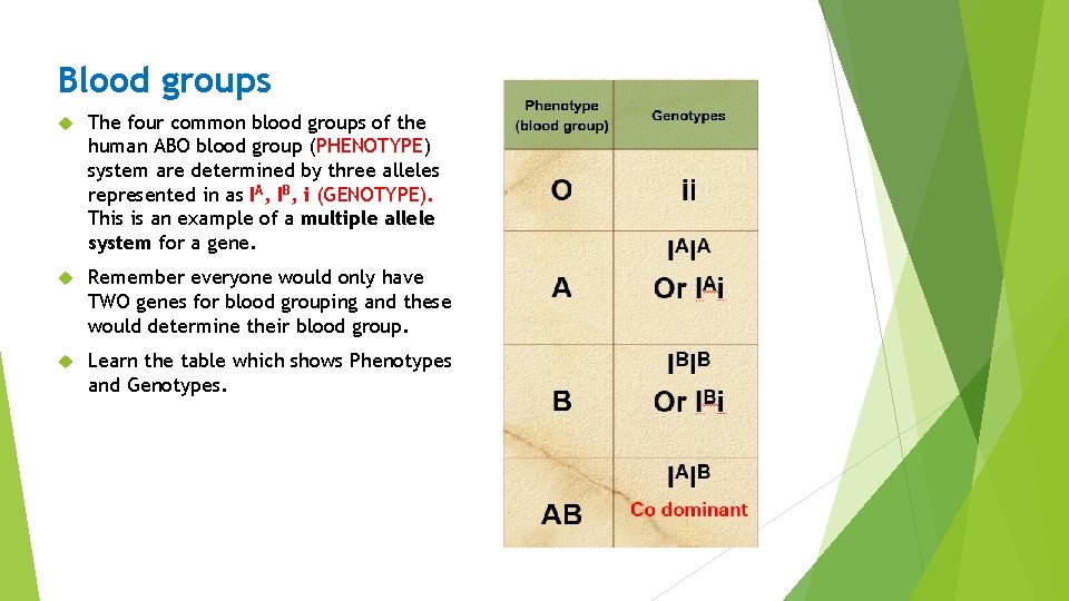 Blood groups The four common blood groups of the human ABO blood group (PHENOTYPE)