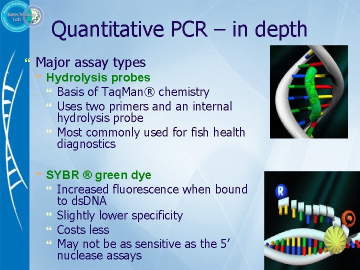 Quantitative PCR – in depth Major assay types Hydrolysis probes Basis of Taq. Man®