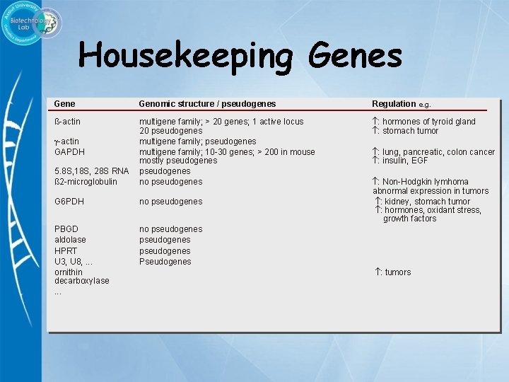 Housekeeping Genes Gene Genomic structure / pseudogenes Regulation e. g. ß-actin : hormones of