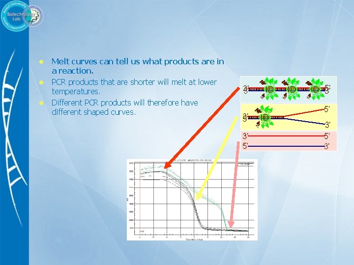 l l l Melt curves can tell us what products are in a reaction.