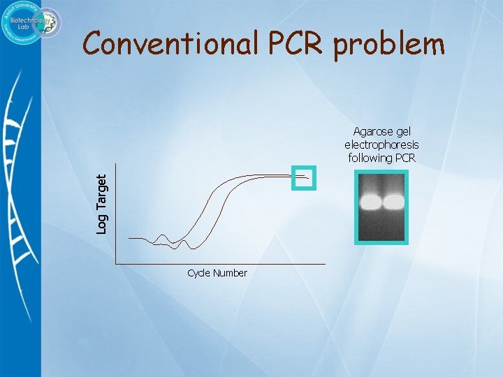 Conventional PCR problem Log Target Agarose gel electrophoresis following PCR Cycle Number 