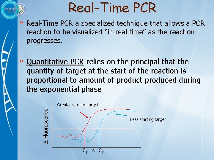 Real-Time PCR a specialized technique that allows a PCR reaction to be visualized “in