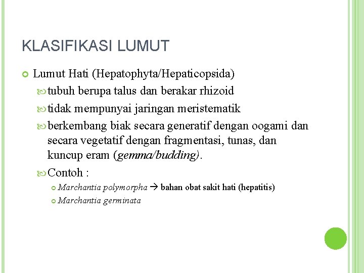 KLASIFIKASI LUMUT Lumut Hati (Hepatophyta/Hepaticopsida) tubuh berupa talus dan berakar rhizoid tidak mempunyai jaringan