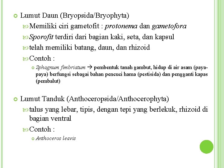  Lumut Daun (Bryopsida/Bryophyta) Memiliki ciri gametofit : protonema dan gametofora Sporofit terdiri dari