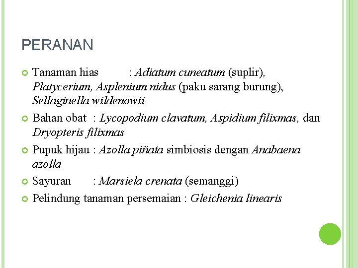 PERANAN Tanaman hias : Adiatum cuneatum (suplir), Platycerium, Asplenium nidus (paku sarang burung), Sellaginella