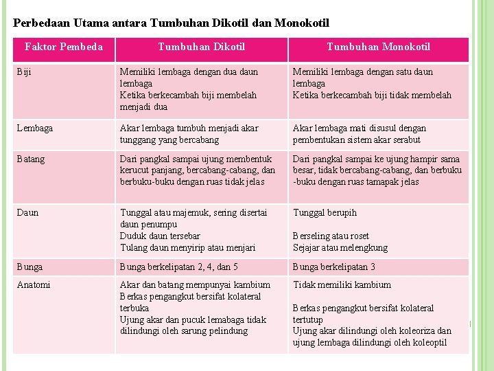 Perbedaan Utama antara Tumbuhan Dikotil dan Monokotil Faktor Pembeda Tumbuhan Dikotil Tumbuhan Monokotil Biji