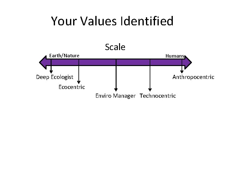Your Values Identified Earth/Nature Deep Ecologist Scale Humans Anthropocentric Ecocentric Enviro Manager Technocentric 