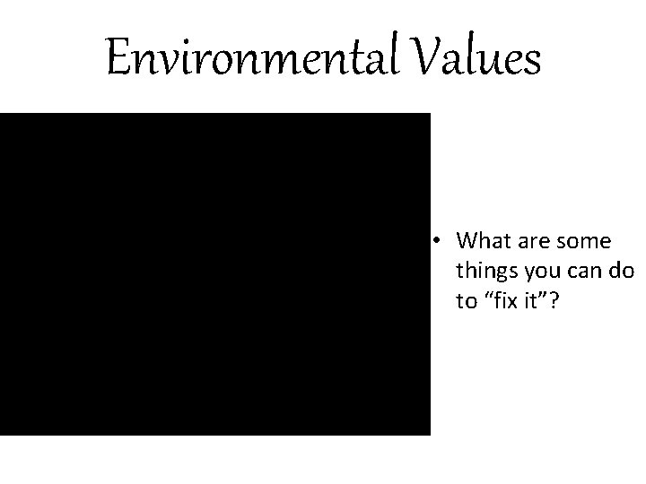 Environmental Values • What are some things you can do to “fix it”? 