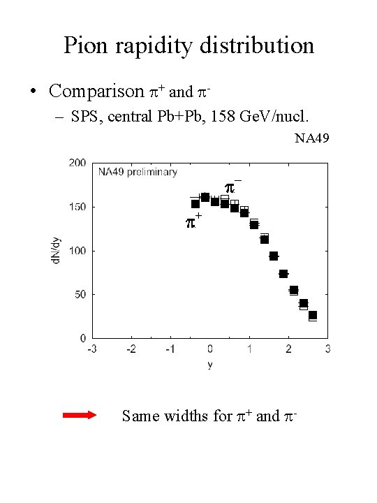 Pion rapidity distribution • Comparison + and – SPS, central Pb+Pb, 158 Ge. V/nucl.