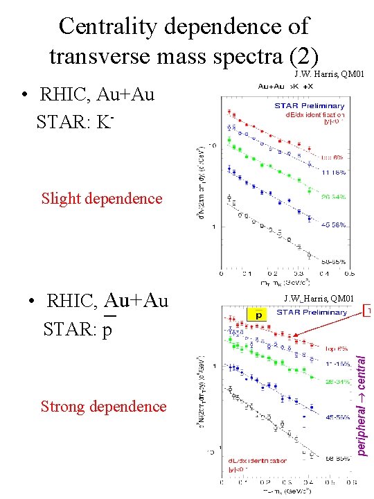 Centrality dependence of transverse mass spectra (2) J. W. Harris, QM 01 • RHIC,