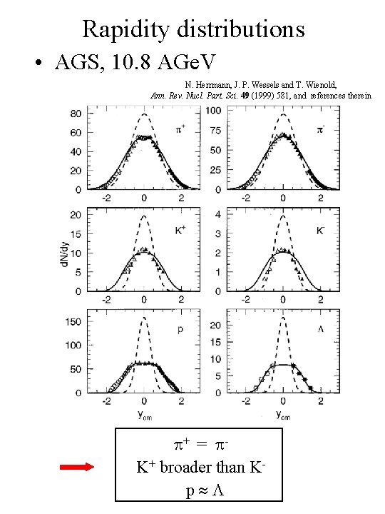 Rapidity distributions • AGS, 10. 8 AGe. V N. Herrmann, J. P. Wessels and
