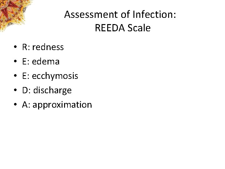 Assessment of Infection: REEDA Scale • • • R: redness E: edema E: ecchymosis