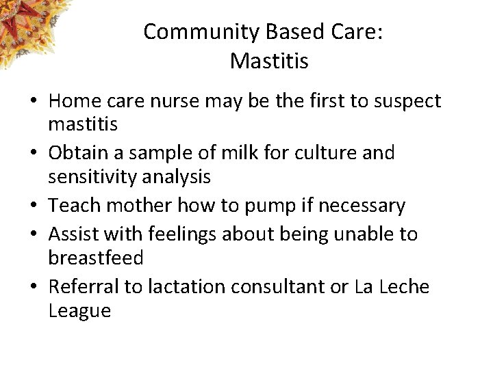 Community Based Care: Mastitis • Home care nurse may be the first to suspect