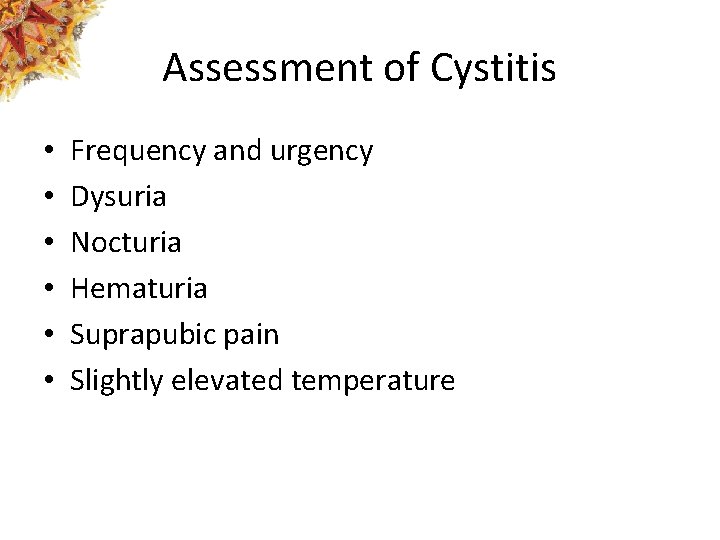 Assessment of Cystitis • • • Frequency and urgency Dysuria Nocturia Hematuria Suprapubic pain