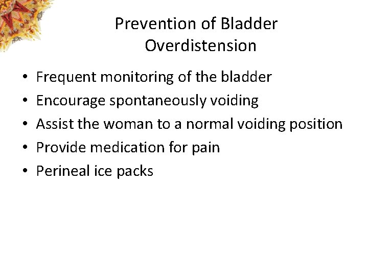 Prevention of Bladder Overdistension • • • Frequent monitoring of the bladder Encourage spontaneously