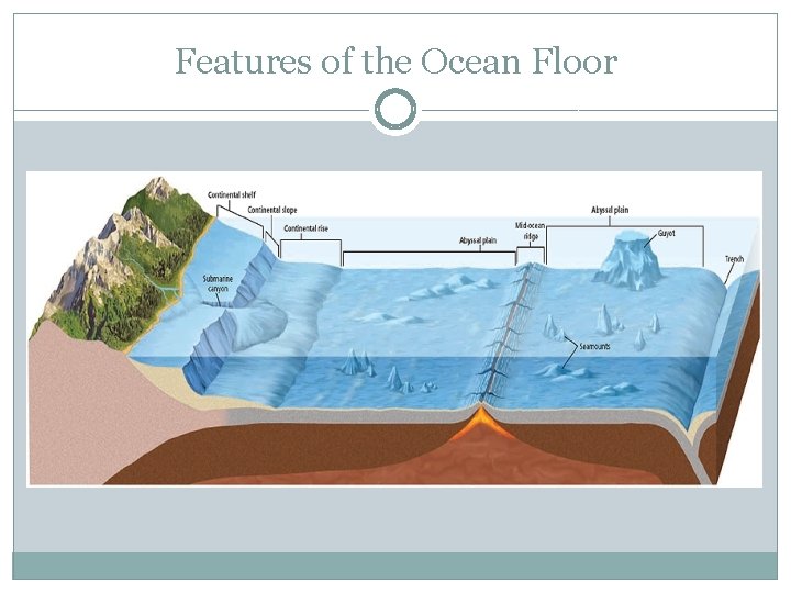 Features of the Ocean Floor 