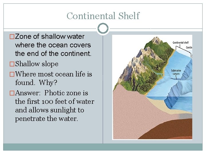 Continental Shelf �Zone of shallow water where the ocean covers the end of the