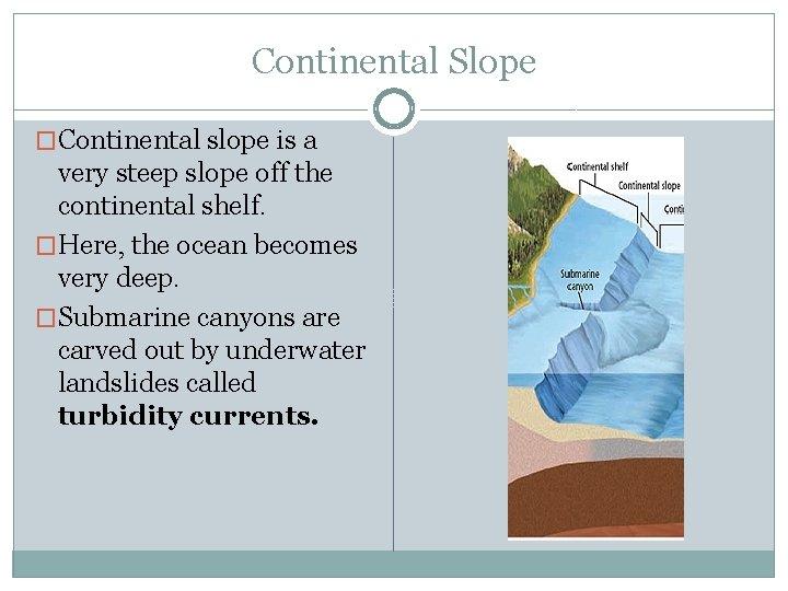 Continental Slope �Continental slope is a very steep slope off the continental shelf. �Here,