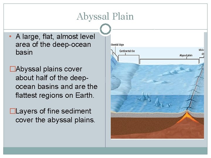 Abyssal Plain • A large, flat, almost level area of the deep-ocean basin �Abyssal