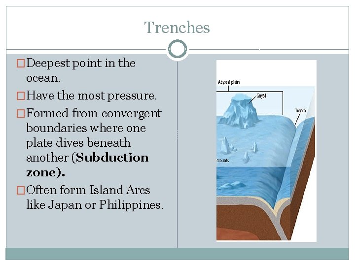 Trenches �Deepest point in the ocean. �Have the most pressure. �Formed from convergent boundaries