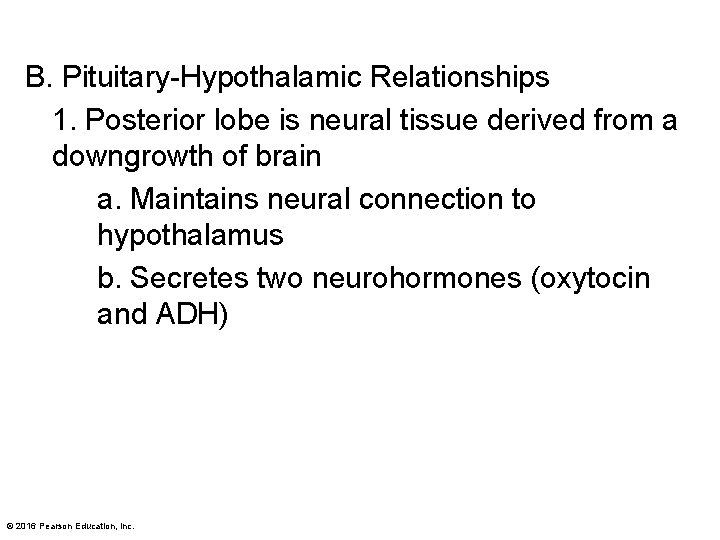 B. Pituitary-Hypothalamic Relationships 1. Posterior lobe is neural tissue derived from a downgrowth of