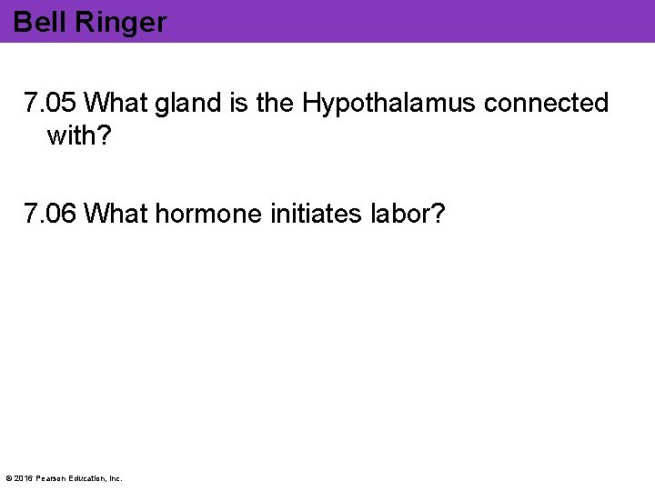 Bell Ringer 7. 05 What gland is the Hypothalamus connected with? 7. 06 What
