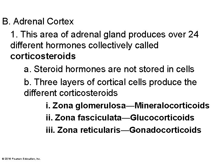 B. Adrenal Cortex 1. This area of adrenal gland produces over 24 different hormones