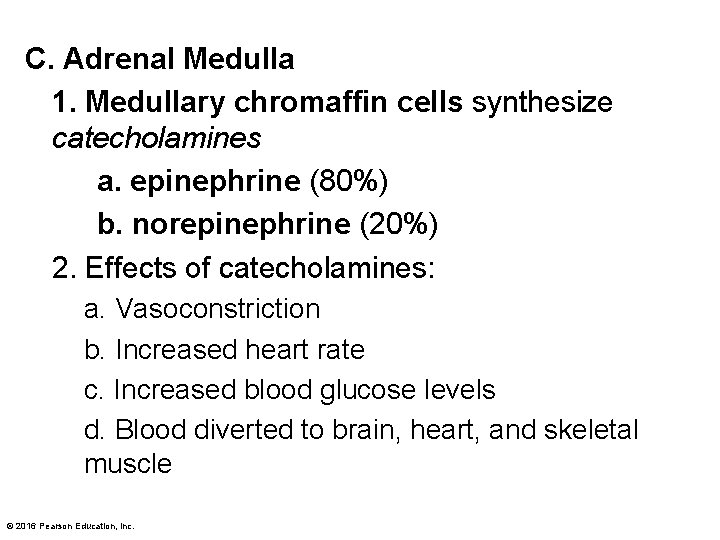 C. Adrenal Medulla 1. Medullary chromaffin cells synthesize catecholamines a. epinephrine (80%) b. norepinephrine