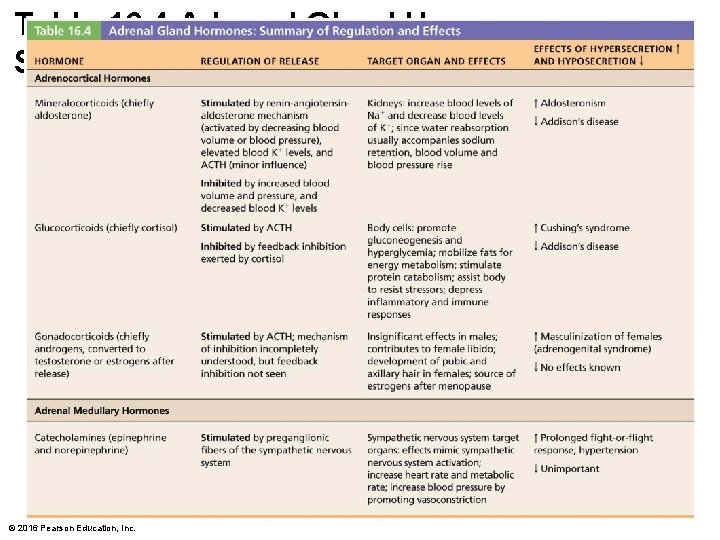 Table 16. 4 Adrenal Gland Hormones: Summary of Regulation and Effects © 2016 Pearson