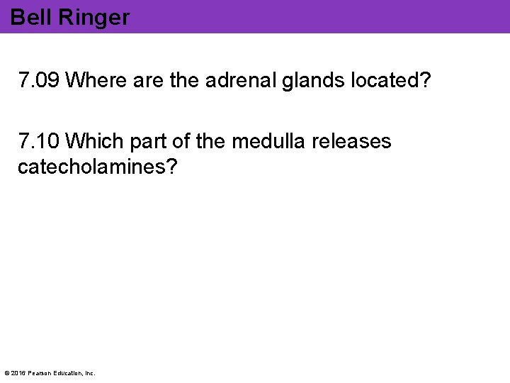 Bell Ringer 7. 09 Where are the adrenal glands located? 7. 10 Which part