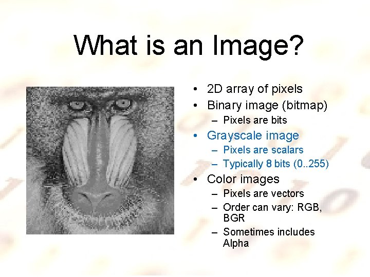 What is an Image? • 2 D array of pixels • Binary image (bitmap)
