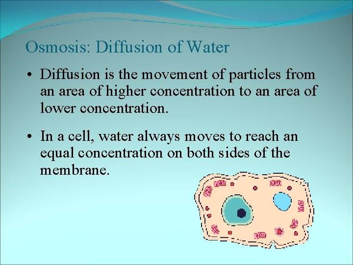 Osmosis: Diffusion of Water • Diffusion is the movement of particles from an area