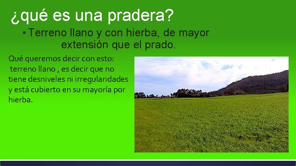 ¿qué es una pradera? ▪ Terreno llano y con hierba, de mayor extensión que