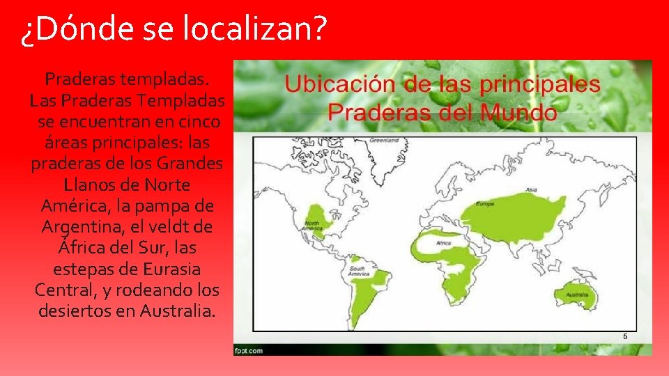 ¿Dónde se localizan? Praderas templadas. Las Praderas Templadas se encuentran en cinco áreas principales: