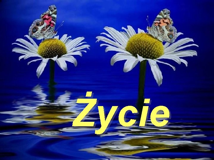 Życie 