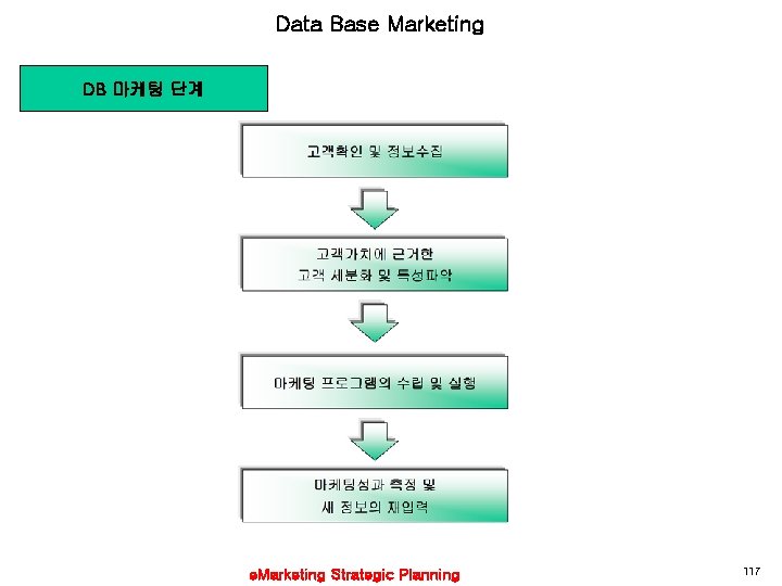 Data Base Marketing DB 마케팅 단계 e. Marketing Strategic Planning 117 