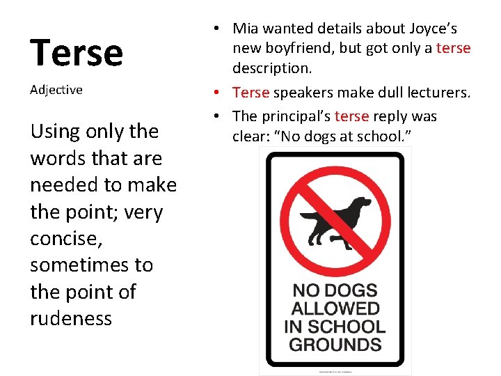 Terse Adjective Using only the words that are needed to make the point; very