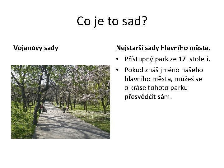 Co je to sad? Vojanovy sady Nejstarší sady hlavního města. • Přístupný park ze