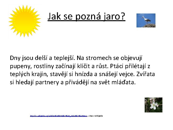 Jak se pozná jaro? Dny jsou delší a teplejší. Na stromech se objevují pupeny,