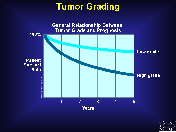 Tumor Grading 100% General Relationship Between Tumor Grade and Prognosis Low grade Patient Survival
