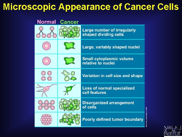 Microscopic Appearance of Cancer Cells 