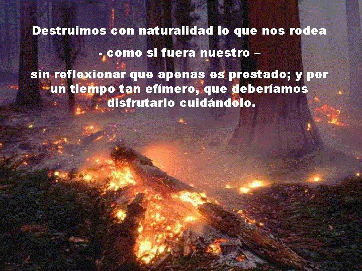 Destruimos con naturalidad lo que nos rodea - como si fuera nuestro – sin