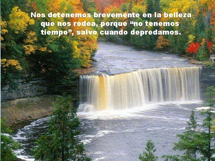Nos detenemos brevemente en la belleza que nos rodea, porque “no tenemos tiempo”, salvo